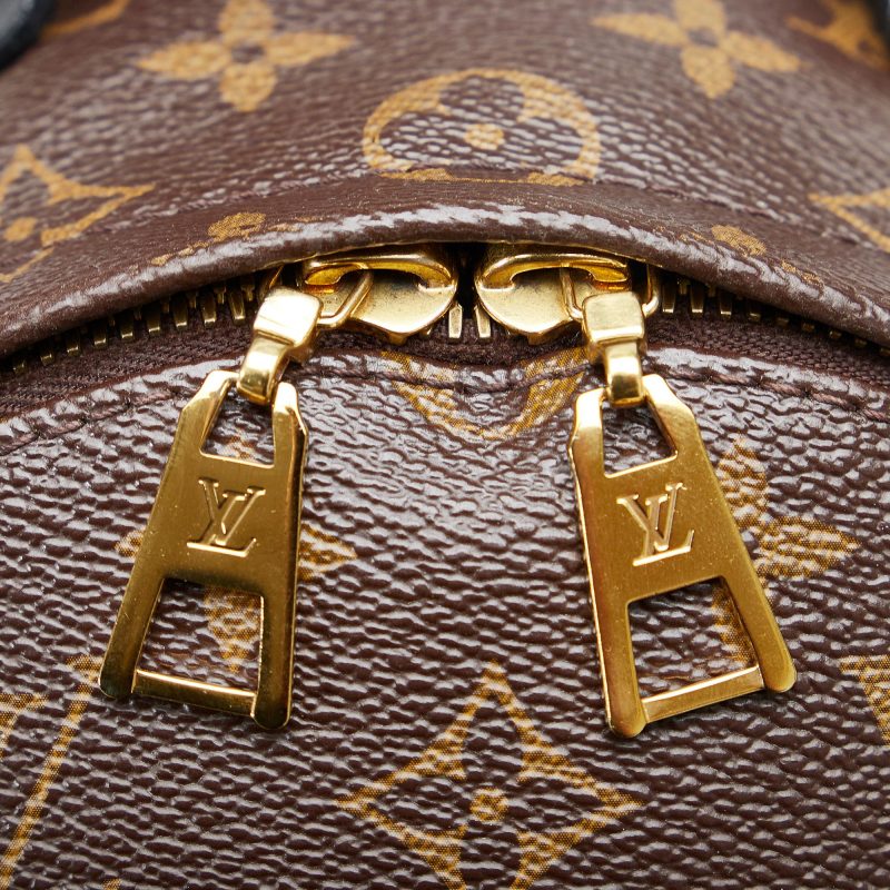 Louis Vuitton Monogram Reverse Palm Springs PM (SHG-SEIfT1) - Image 8