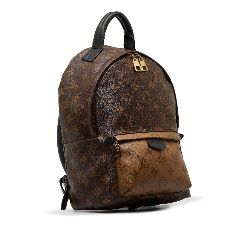 Louis Vuitton Monogram Reverse Palm Springs PM (SHG-SEIfT1)