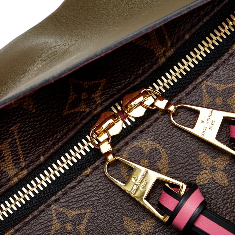 Louis Vuitton Monogram Tuileries Besace - Image 9
