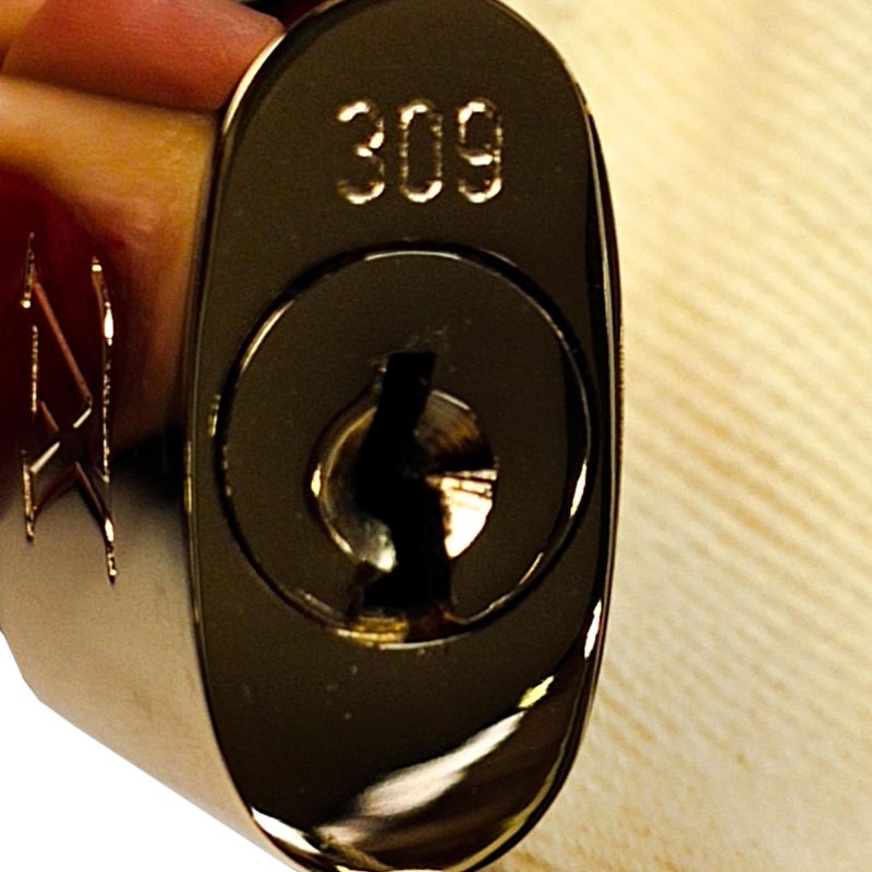 Louis Vuitton Vernis Alma BB (SHG-36461) - Image 8