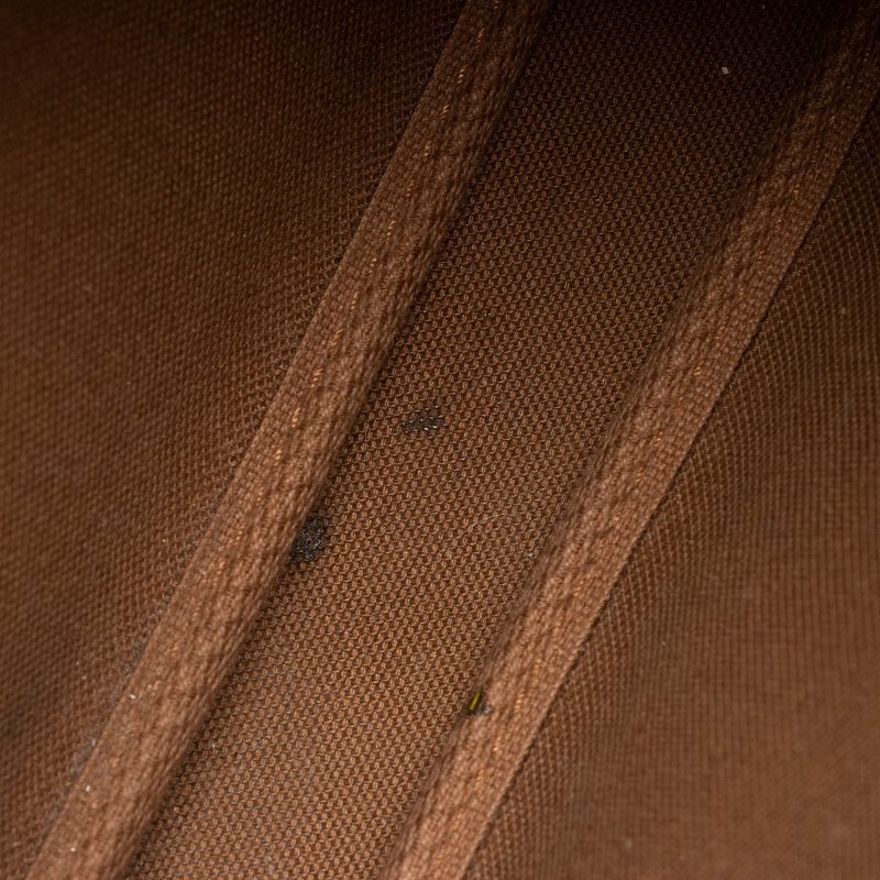 Louis Vuitton Vintage Monogram Canvas Pochette Accessoires (SHF-31L4en) - Image 10