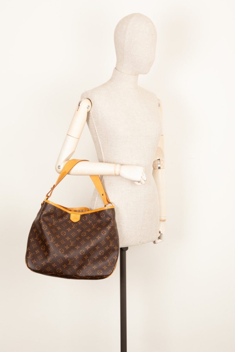 Louis Vuitton Delightful Bag NM MNG