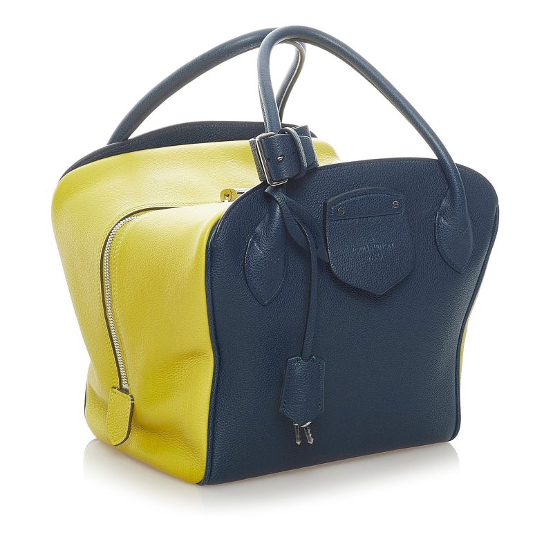 Louis Vuitton Haute Maroquinerie Bicolor - Image 2
