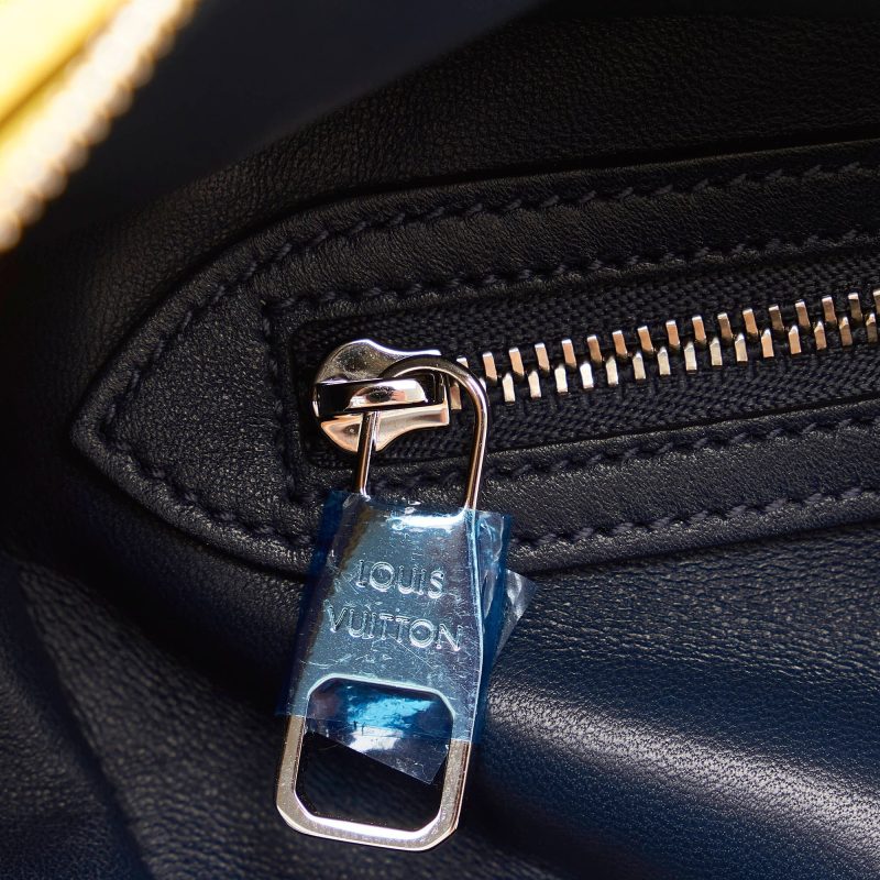Louis Vuitton Haute Maroquinerie Bicolor - Image 8
