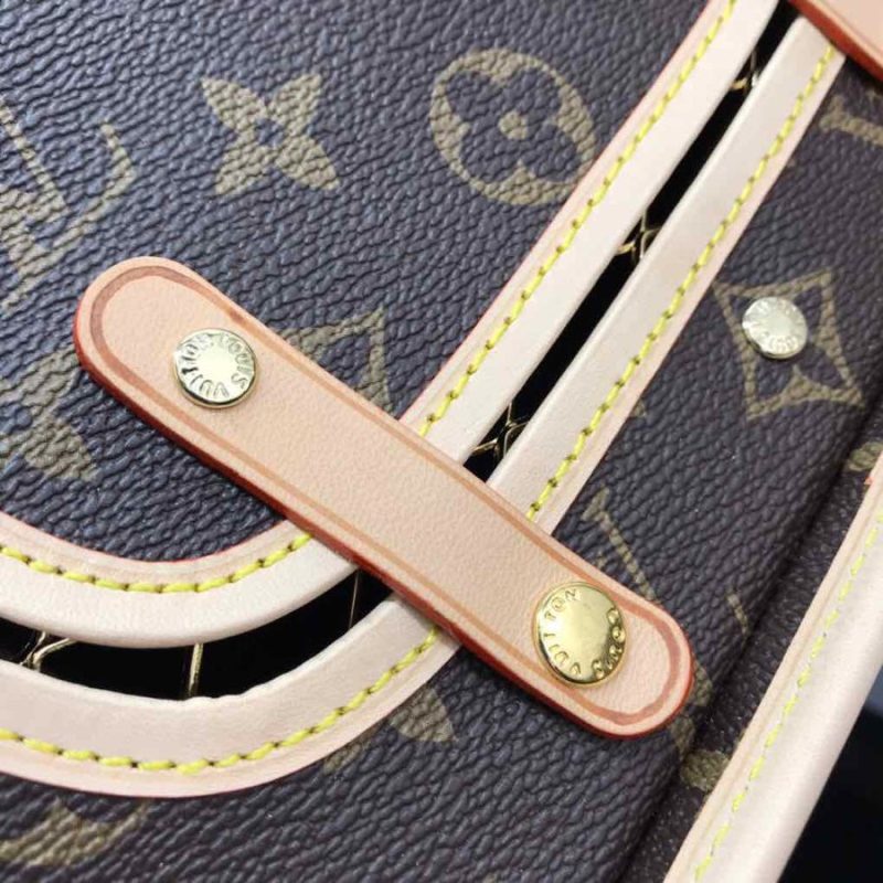 Louis Vuitton Dog Carrier Bag 50 - Image 8